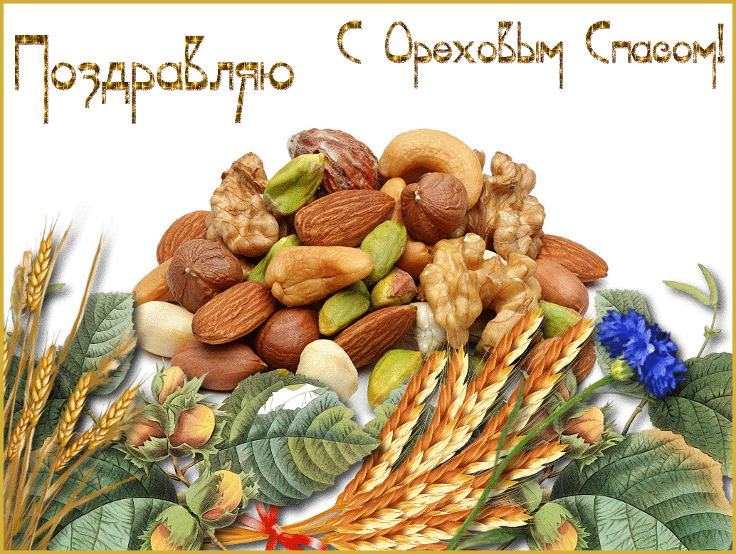 Картинки с ореховым и хлебным Спасом. Картинки с ореховым Спасом. 