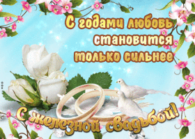 Открытка с двумя лебедями, с железной свадьбой! 65 лет вместе!