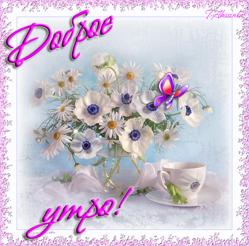 На цветке Сиреневой космеи. Открытка мерцающая цветки космеи.