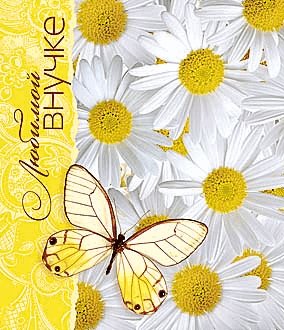 Открытка с плюшевым мишкой и красными розами для внучки на день рождения.