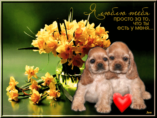 Открытка анимация сердце и котенком Я тебя люблю! Открытка с пройденным сердц...