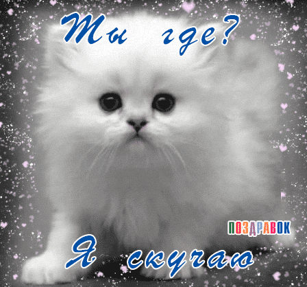 Картинки я скучаю. Картинки я скучаю по тебе. Картинки я скучаю по тебе родной.