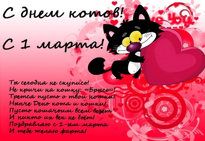 Всемирный день кошек. Анимация С Днем кошек.Открытки с Днем кошек бесплатно.