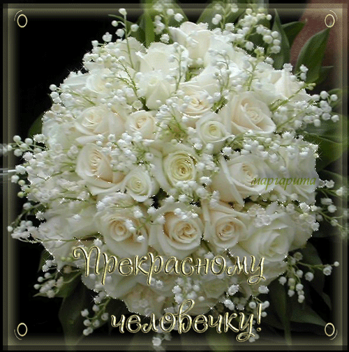 Открытки с 8 марта с белыми розами, открытка с днём рождения с белыми розами.