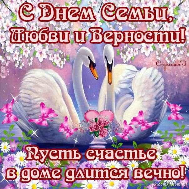 Открытка лебедь на воде. Картинки изображением лебедей. Картинки с двумя лебе...