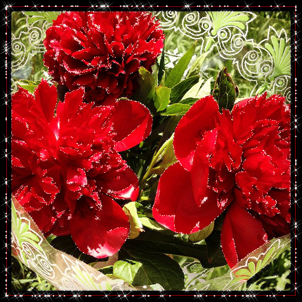 Открытки с 8 марта и открытки с добрым утром с пионами. Открытки С днём рожде...