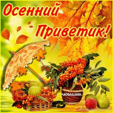 Картинка осенний Привет. Картинка осенний Приветик. открытка с приветствиями.