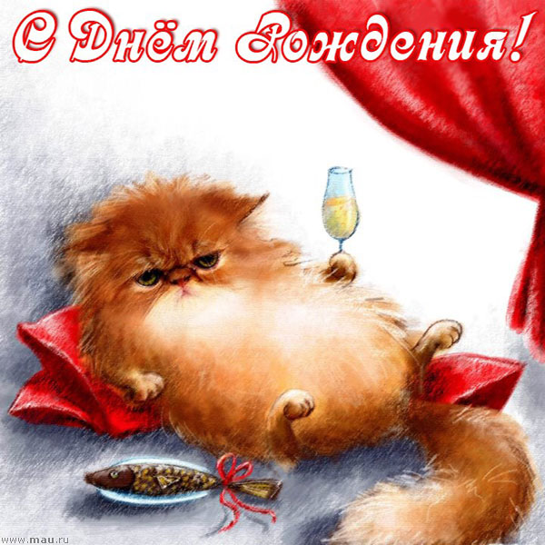 Смешные картинки котов без надписей. Смешные фотографии кошек карикатуры про ...