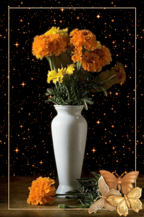 Пчела на бархатцы открытка. Открытка собрались бархатцев пледы украсив счасть...