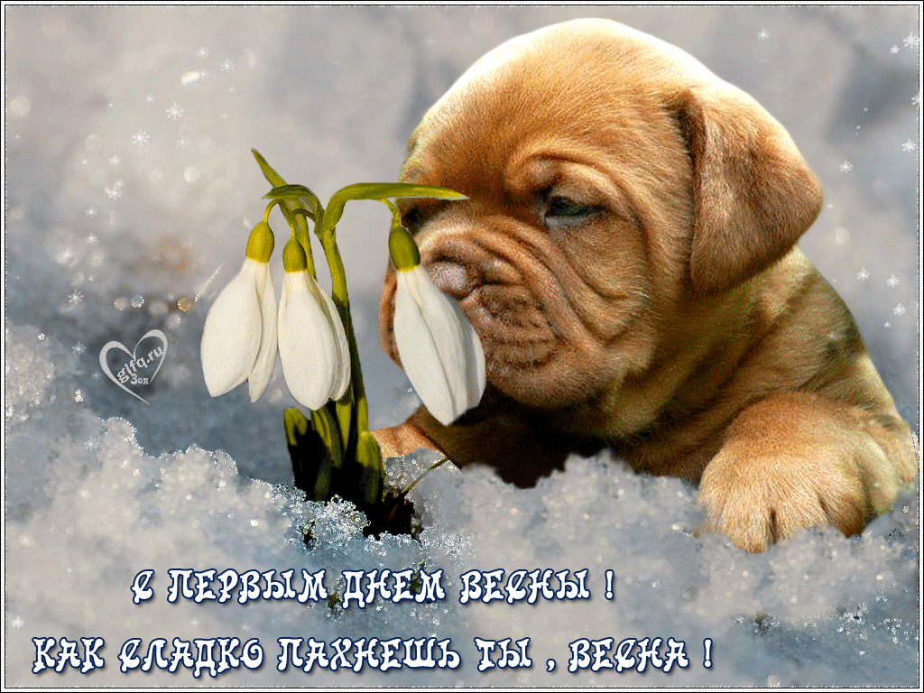 Картинки С первым днем весны. Картинки детские С первым днем весны.