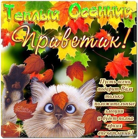 Поздравительные открытки С первым днём осени. Красивые открытки С первым днём...