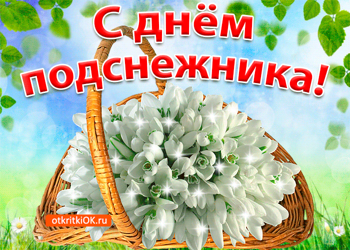 Открытки с Днем рождения подснежники. Показать открытки с Днем подснежника.