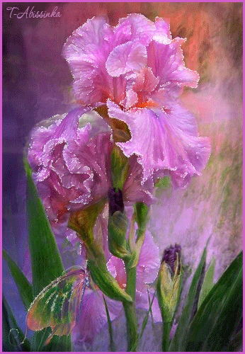 Открытка сказочного денёчка с фиолетовыми ирисами и бабочкой.