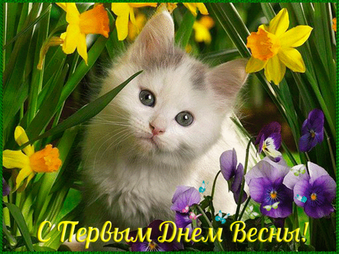 Открытка С первым днем весны 1 марта. Красивая открытка С первым днем весны.