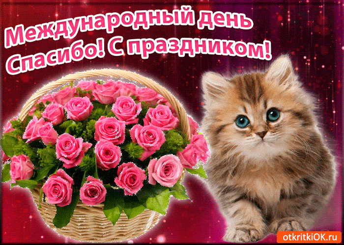 Открытки с кошками на день рождения. Открытки с кошками Доброе утро.