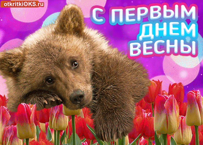 Прикольные поздравления С первым днем весны в картинках. Поздравить С первым ...