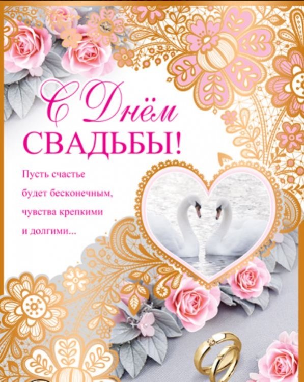 Открытка анимация Два лебедя в воде. Открытка с Днем семьи любви и верности с...