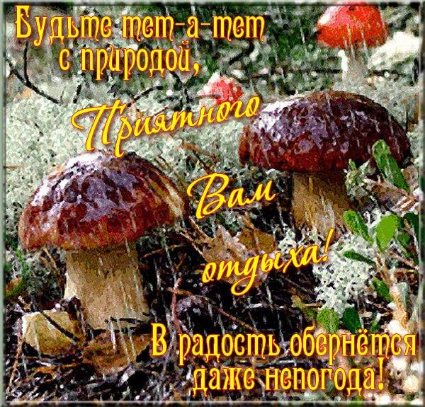 Открытка классного настроения в любую погоду. Открытка хорошей погоды в доме.