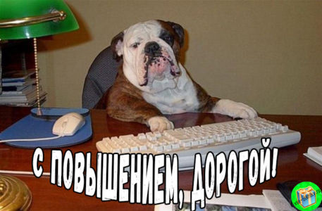 Фото С Днем Работы