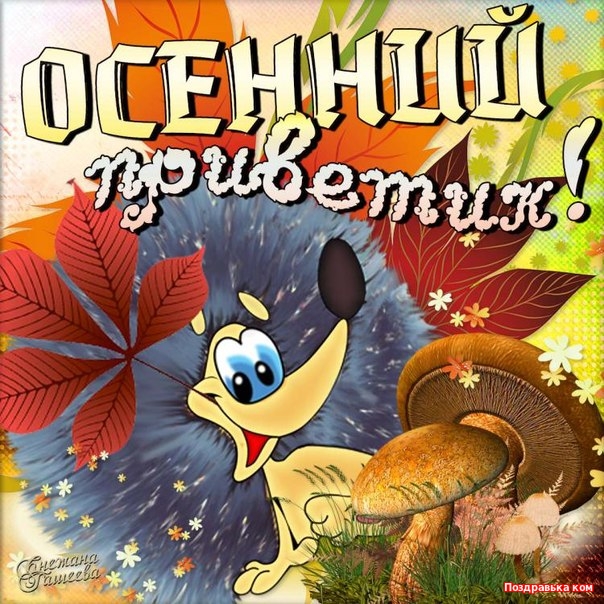 Открытка анимация с птицей Привет. Открытка с нарисованной собакой под зонтик...