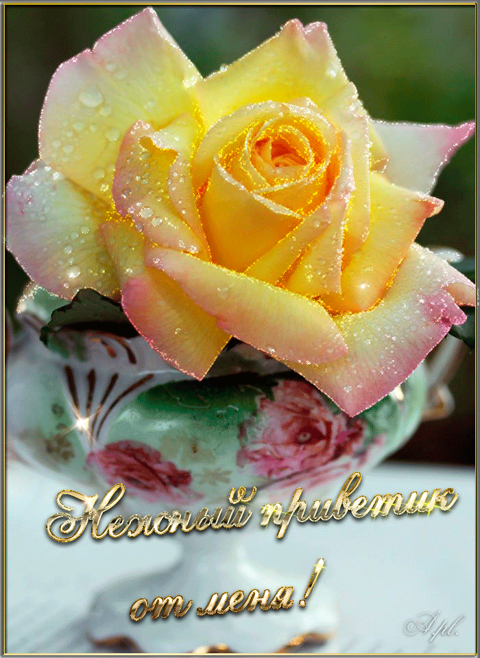 Открытка с днём рождения с фужерами шампанского и букетом желтых роз.