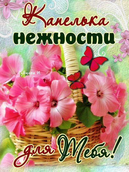 Картинки это тебе просто так. Это тебе картинки открытки друзьям бесплатно.