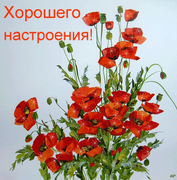 Открытка гиф большой красный мак. С днем рождения мерцающая с букетом красных...