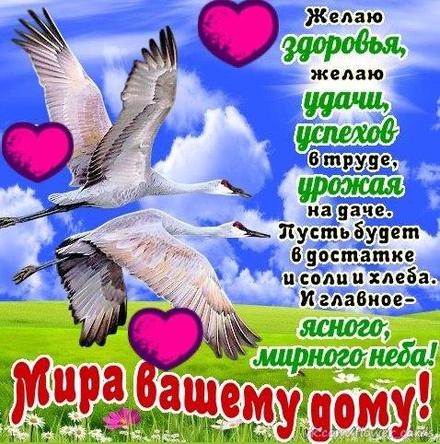 Открытка  открытка к международному Дню семьи с лебедем. Открытка Два лебедя ...