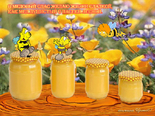 Открытки с медовым Спасом ВКонтакте. Открытка с медовым Спасом бесплатно.