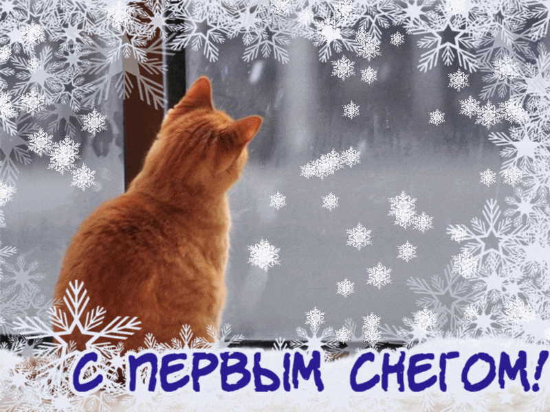 Картинки с первым снегом скачать бесплатно. Картинка Доброе утро с первым сне...