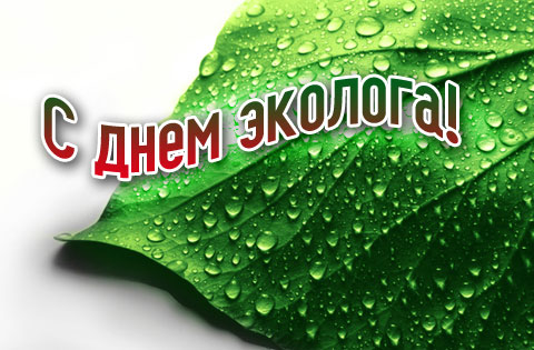 Есть такая профессия защищать природу открытка с зеленой веткой. Открытка с б...