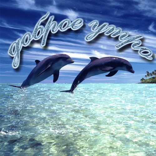 Открытка Дельфин цветами. Открытка с дельфином Вы можете улыбнуться?