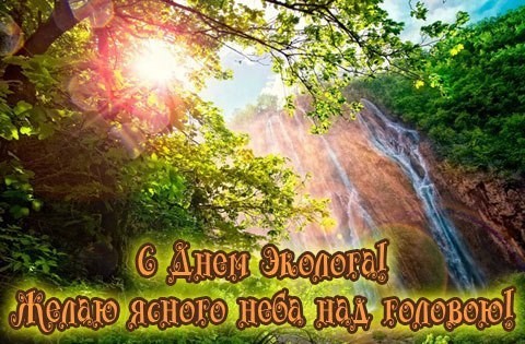 Открытка день эколога. Красивые открытки с Днем эколога. Бесплатно открытки С...