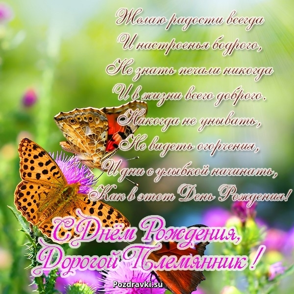 Открытки с Днём Рождением племянника скачать бесплатно. Поздравление с днём р...