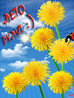  Картинки с одуванчиками скачать бесплатно. Красивые картинки с одуванчиками.