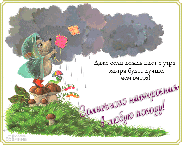 Картинки статусы про погоду. Картинки про погоду прикольные.