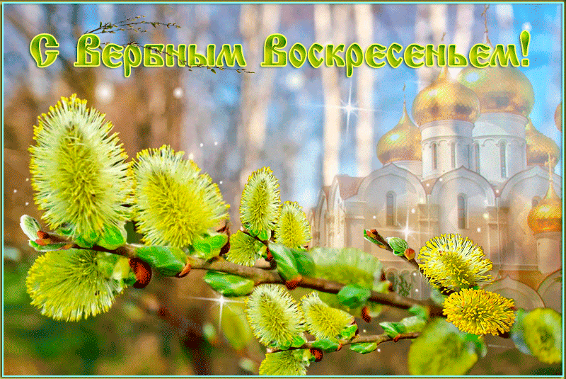 Открытка по твоей страничке вербочкой стучу крепкого здоровья для тебя хочу, ...