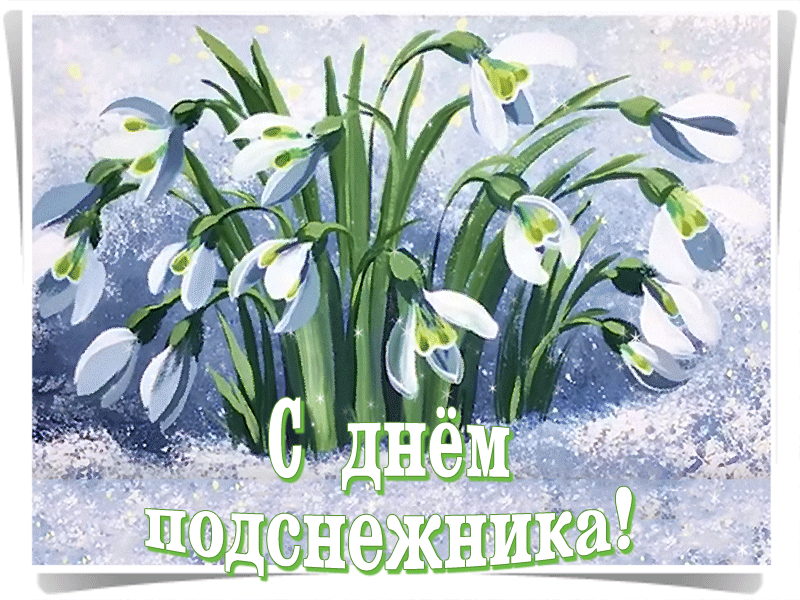 Скачать бесплатно открытки С днем подснежника. Открытки подснежники.