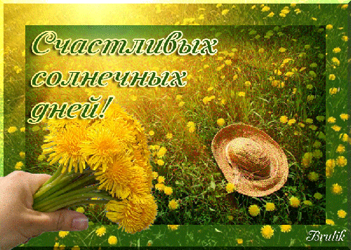 Открытка белый одуванчик под палящим солнцем. Открытка с днём рождения, с жёл...