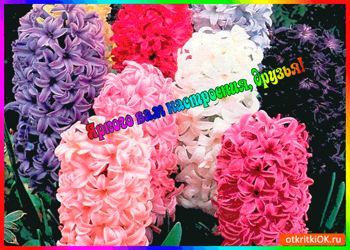 Открытка сирень своими руками. Фото сирени. Открытки С днём рождения с сиренью.