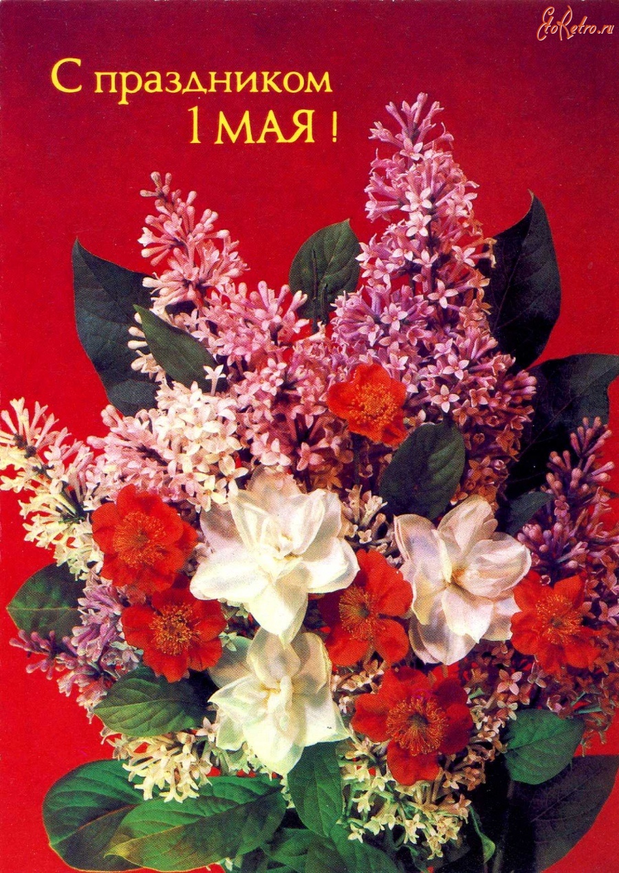 Открытка весну встречай, Она идёт, удачу за собой несет,  открытка с прыгающи...