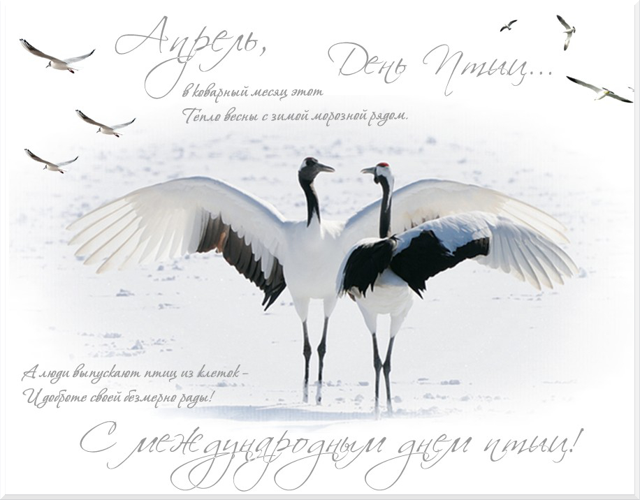 Красивая открытка с природой и птицами. Открытка 1 апреля птичий праздник.