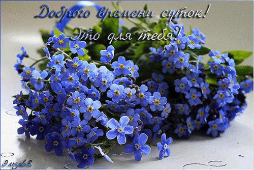Доброго времени суток красивая картинка. Очень красивые картинки Доброго врем...
