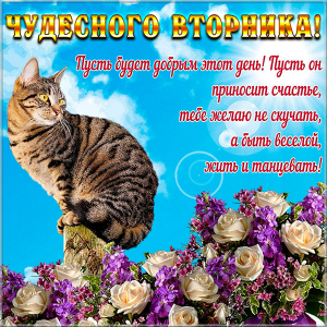 Открытка чудесного тебе вторника! Открытка яркого вторника! 
