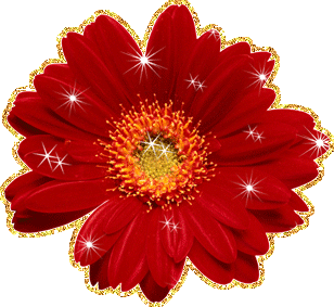 Открытки С днём рождения с герберами. Открытки с герберами. 