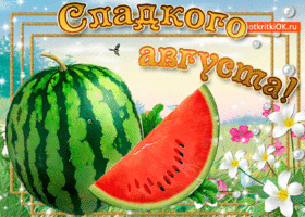 Детские стихи про лето с картинками. Картинки про лето. Картинки приколы про ...