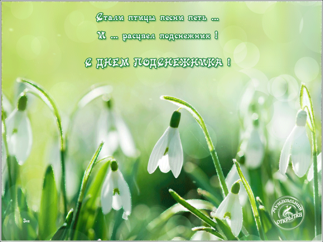 Показать открытки с Днем подснежника. Открытки поздравления с днем подснежника.