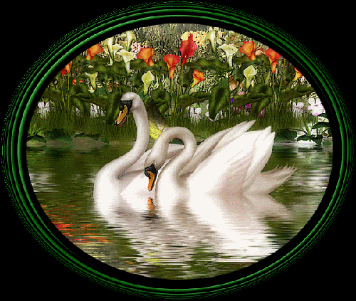 Открытка лебеди с днём рождения. Открытки Лебединая верность. Открытки Лебеди...