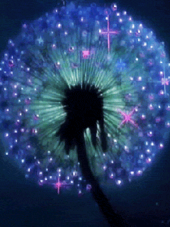 Открытка мерцающая с одуванчиками белыми в стеклянной вазе. 