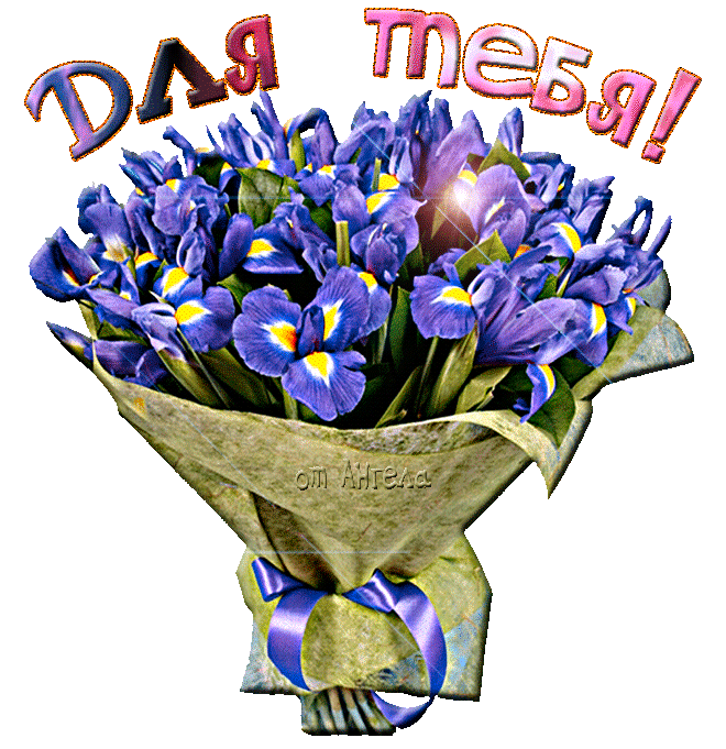 Картинка ирисами. Открытки с ирисами. Открытки С ирисами С днём рождения.